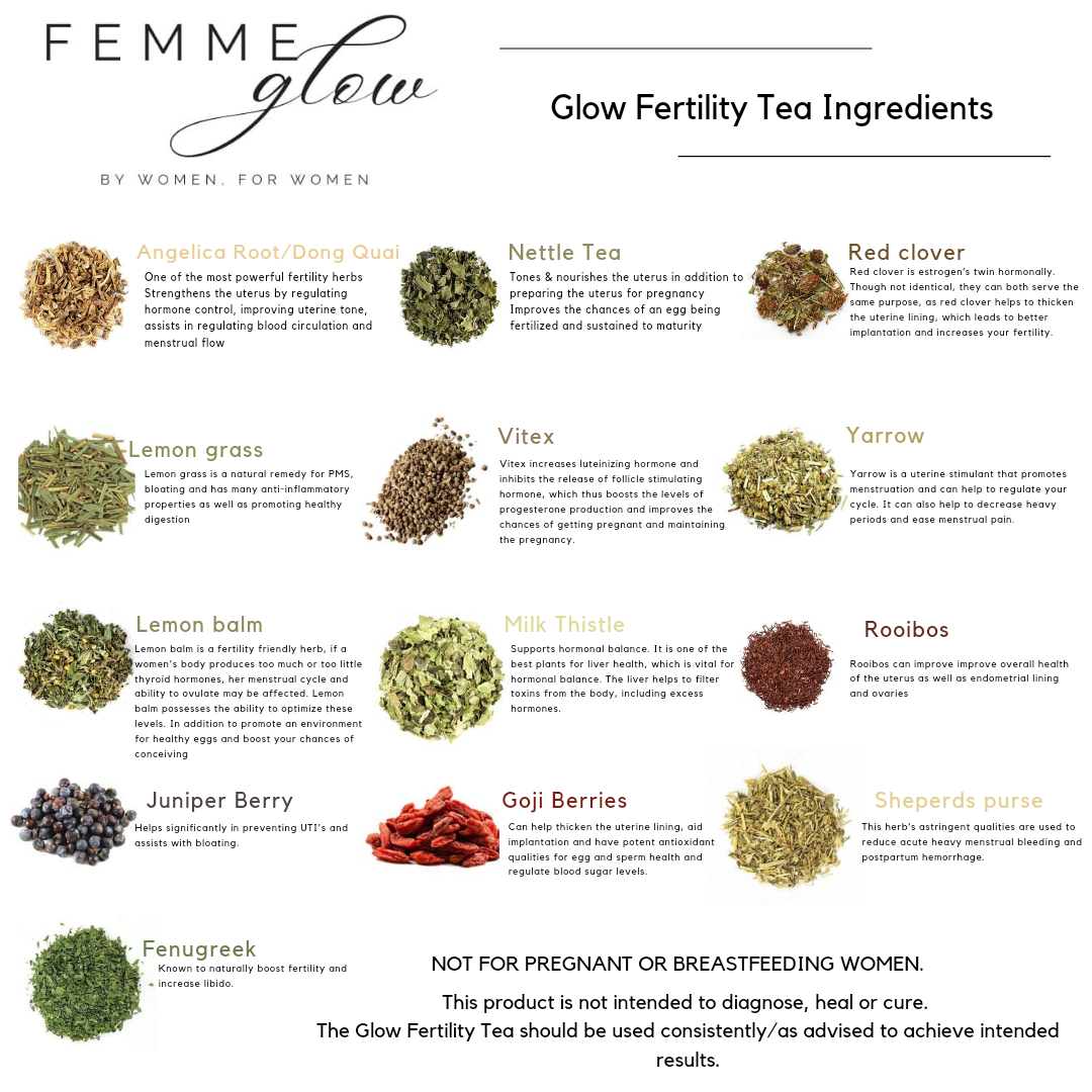 Femme Glow: Glow fertility tea (20 teabags) - Image 2