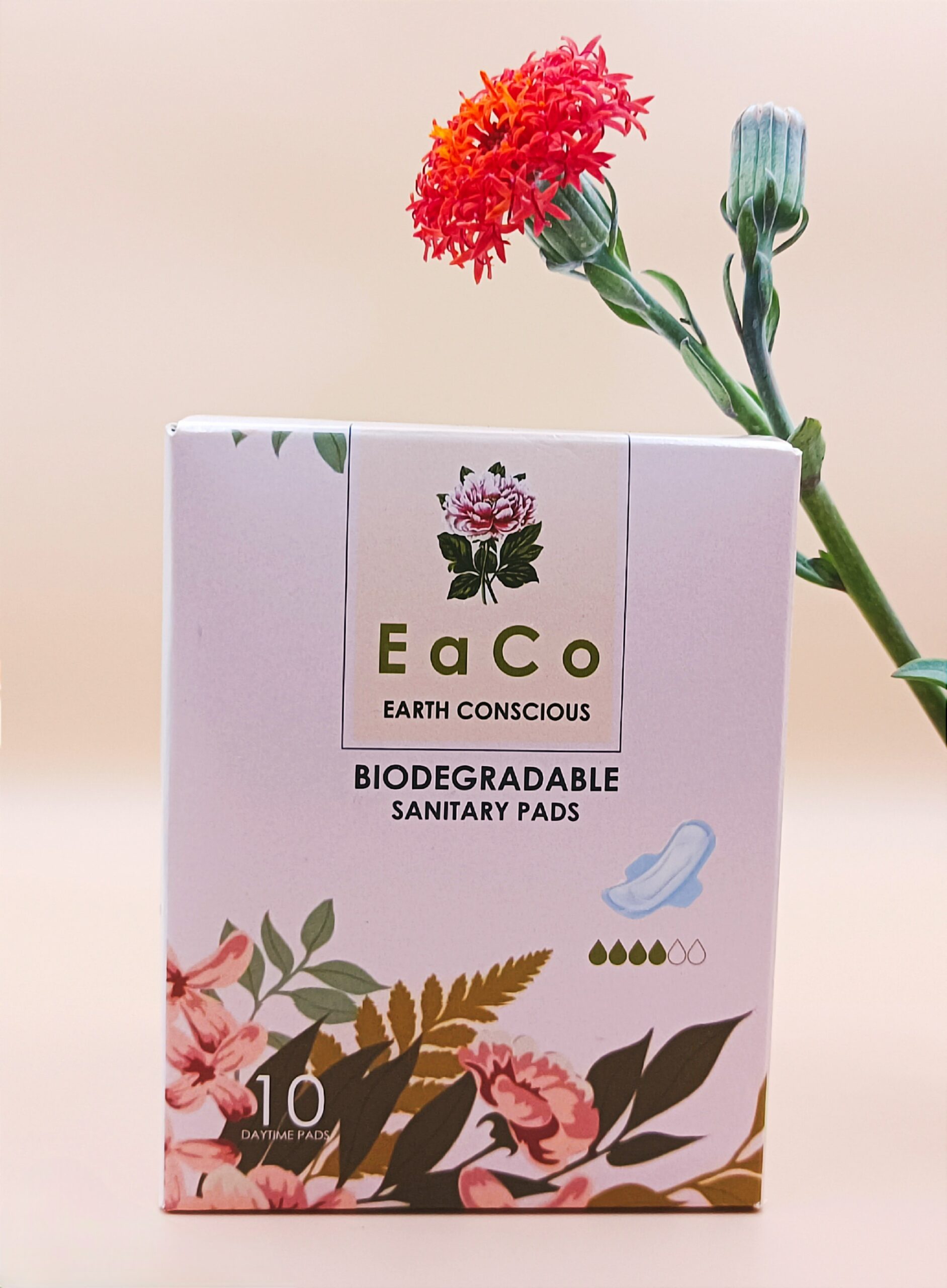 Eaco Day Time Pads (10's)